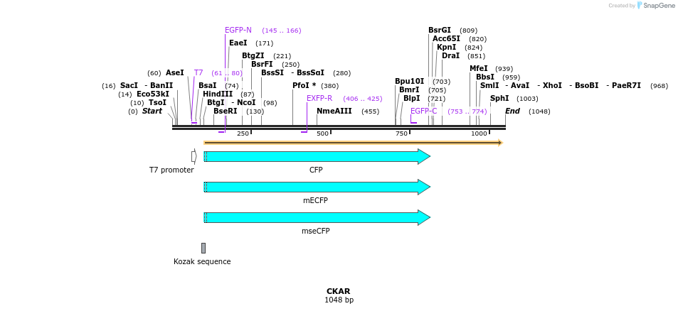 99868_map
