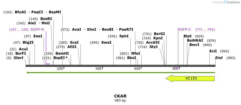 99869_map