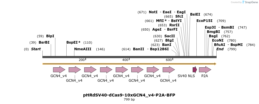 99890_map