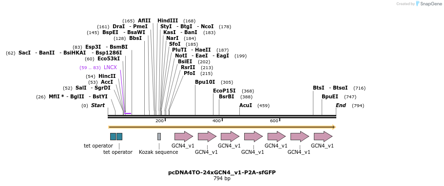 99896_map