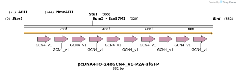 99898_map
