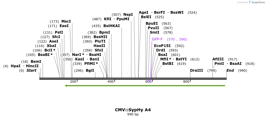 99907_map