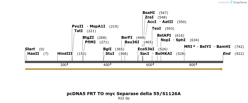 99914_map