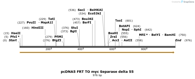 99915_map