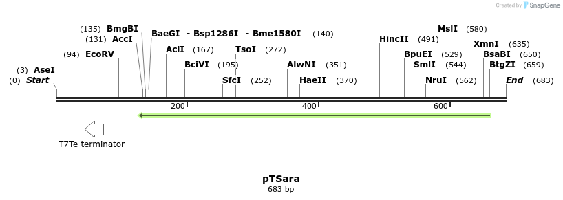 99916_map