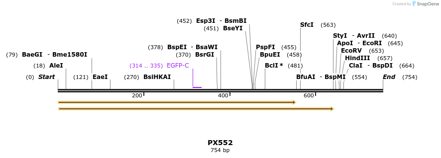 99917_map