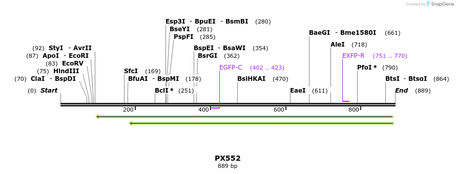 99918_map
