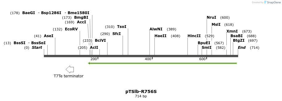 99921_map
