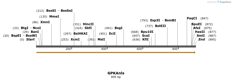99959_map