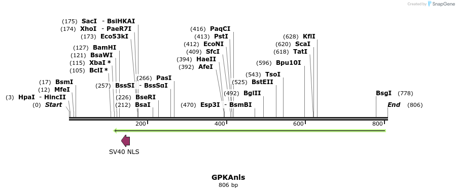 99960_map