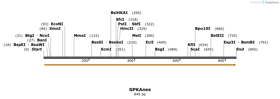 99965_map