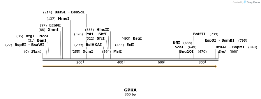 99969_map