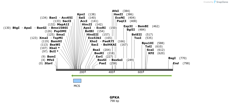 99970_map