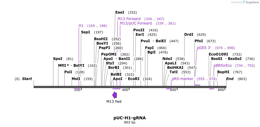 99973_map
