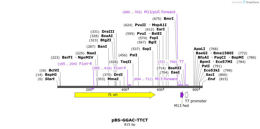 99980_map