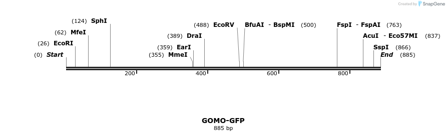 99987_map