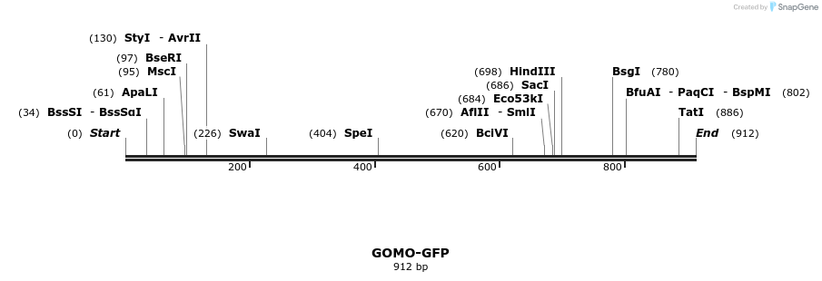 99990_map