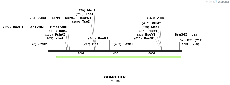 99993_map