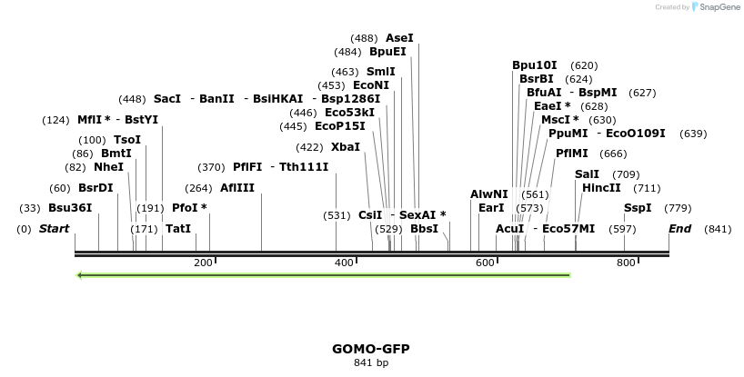 99994_map