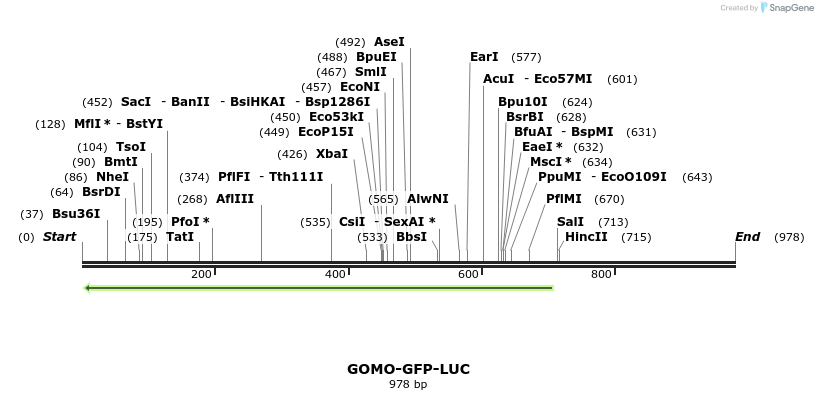 99995_map